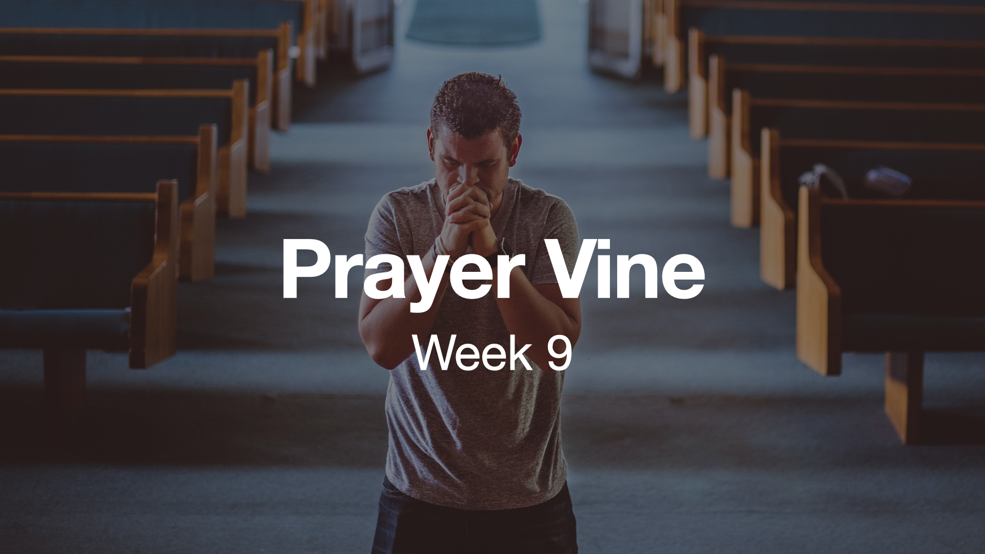 2025 Prayer Vine Weeks.009
