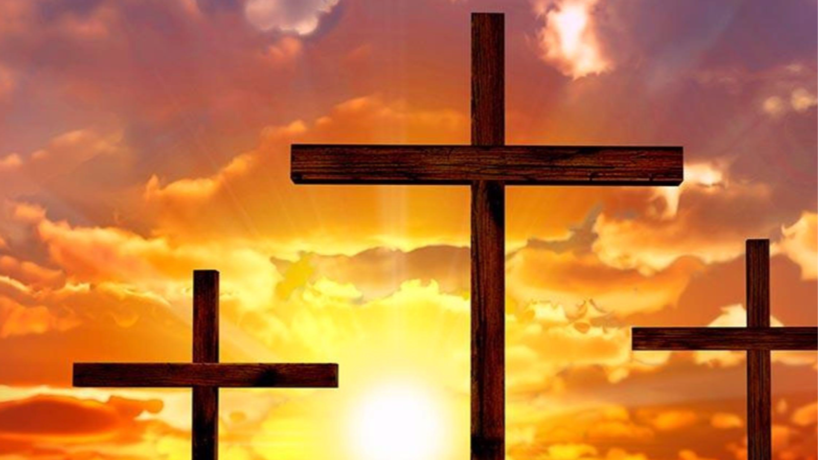 Witnesses to the Passion