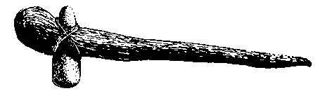 fig2