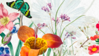 *Breedon Events