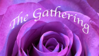 The Gathering